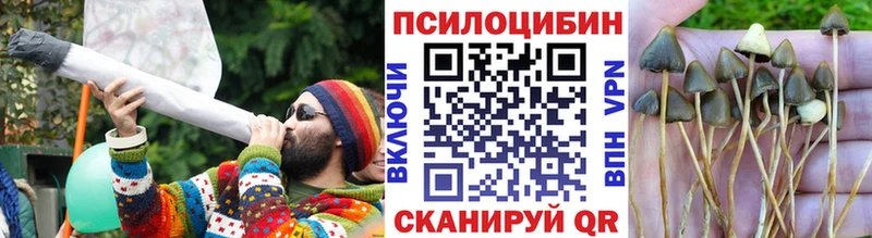 Псилоцибиновые грибы мухоморы  что такое наркотик  Химки 