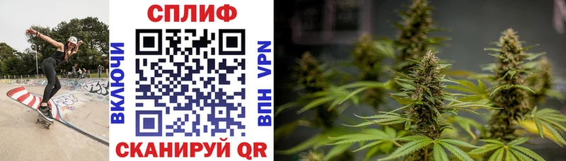 Каннабис VHQ  где купить наркотик  Химки 